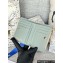 Dior Oblique 30 Montaigne Dahlia M928 2024