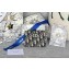 Dior Oblique 30 Montaigne Dahlia M928 02 2024