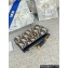 Dior Oblique 30 Montaigne Dahlia M928 02 2024