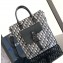 Dior saddle hangbag Oblique 01 2024