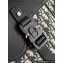 Dior saddle hangbag Oblique 01 2024