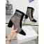 Dior Naughtily-D heeled ankle boot Transparent Mesh Embroidered with Black Cannage Motif and Suede Goatskin heel 8cm 01 2024