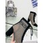 Dior Naughtily-D heeled ankle boot Transparent Mesh Embroidered with Black Cannage Motif and Suede Goatskin heel 8cm 01 2024