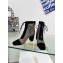 Dior Naughtily-D heeled ankle boot Transparent Mesh Embroidered with Black Cannage Motif and Suede Goatskin heel 8cm 01 2024
