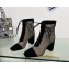 Dior Naughtily-D heeled ankle boot Transparent Mesh Embroidered with Black Cannage Motif and Suede Goatskin heel 8cm 01 2024