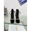 Dior Naughtily-D heeled ankle boot Transparent Mesh Embroidered with Black Cannage Motif and Suede Goatskin heel 8cm 01 2024
