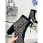 Dior Naughtily-D heeled ankle boot Transparent Mesh Embroidered with Black Cannage Motif and Suede Goatskin heel 8cm 2024