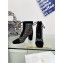 Dior Naughtily-D heeled ankle boot Transparent Mesh Embroidered with Black Cannage Motif and Suede Goatskin heel 8cm 2024