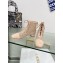 Dior Naughtily-D heeled ankle boot Transparent Mesh Embroidered with naked Cannage Motif and Suede Goatskin heel 3.5cm 2024