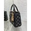 Sac Lady Dior My ABCDior Small black 2024