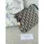 Dior 30 Montaigne Dea blue Oblique 01 2024