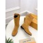 Louis Vuitton lv rider Women/Men brown suede boots 2024 