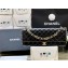 Chanel Shiny Lambskin Gold-Tone Metal Black Maxi Clutch Bag  AS5006 2024(original quality)