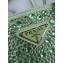 Prada diamond encrusted tote bag green 1BA331 2024