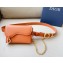 Dior Width 2cm Pouch Belt with Chain in Smooth Calfskin Brown-01 2024