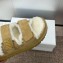 Dior Dioract Slide Beige Suede Goatskin 2024