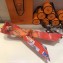 Hermes Bottle Silk Twilly 85x5CM Red