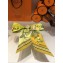 Hermes Horse Silk Twilly 85x5CM Yellow