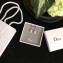 Dior Earrings 19 2018