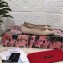 Dolce & Gabbana Leather Devotion Flats Slippers Beige 2021