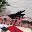 Dolce & Gabbana Heel 6.5cm Quilted Leather Devotion Slingbacks Black 2021