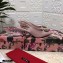 Dolce & Gabbana Heel 6.5cm Quilted Leather Devotion Slingbacks Light Pink 2021