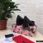 Dolce & Gabbana Block Heel 6.5cm Leather Sicily Pumps Black 2021