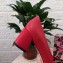 Dolce & Gabbana Block Heel 6.5cm Leather Sicily Pumps Red 2021
