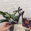 Dolce & Gabbana Heel 10.5cm Satin Sandals Black with Pearl Application 2021