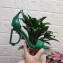 Dolce & Gabbana Heel 10.5cm Leather Sandals Green with D&G Heel 2021