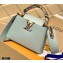 Louis Vuitton Capucines Mini Bag Python Handle M55922 Pale Green