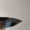 Valentino Heel 8cm Rockstud Slingback Pumps with Removable Strap Patent Black 2021