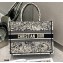 Dior Small Book Tote Bag in Multicolor Zodiac Embroidery 2021