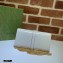 Gucci Jackie 1961 Chain Wallet Bag 652681 Leather White 2021