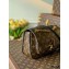 Louis Vuitton Monogram Canvas Passy Bag M45592 2021