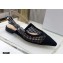Dior J'Adior Slingback Ballerina Flats Mesh Embroidery Black 2021