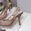 Dior Heel 9.5cm J'Adior Slingback Pumps Mesh Embroidery Nude 2021