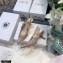 Dior Heel 6.5cm J'Adior Slingback Pumps Mesh Embroidery Nude 2021