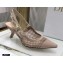 Dior Heel 6.5cm J'Adior Slingback Pumps Mesh Embroidery Nude 2021