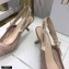 Dior Heel 6.5cm J'Adior Slingback Pumps Mesh Embroidery Nude 2021