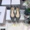 Dior J'Adior Slingback Ballerina Flats Mesh Embroidery Gray 2021