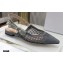 Dior J'Adior Slingback Ballerina Flats Mesh Embroidery Gray 2021