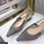 Dior J'Adior Slingback Ballerina Flats Mesh Embroidery Gray 2021