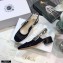 Dior Heel 3.5cm Moi Slingback Pumps Cannage Embroidered Mesh Black 2021