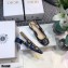 Dior Heel 3.5cm Moi Slingback Pumps Galaxy Embroidered 2021