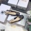 Dior Heel 1.5cm Moi Slingback Ballerina Flats Galaxy Embroidered 2021