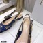 Dior Heel 1.5cm Moi Slingback Ballerina Flats Galaxy Embroidered 2021