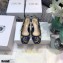 Dior Heel 1.5cm Moi Slingback Ballerina Flats Galaxy Embroidered 2021