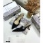 Dior Heel 6.5cm J'Adior Embroidered Slingback Pumps Black 2021