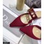 Dior D-Dior Flats Mules Technical Fabric Burgundy 2021